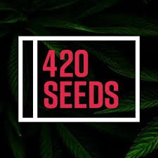 420 seeds - Kannabia