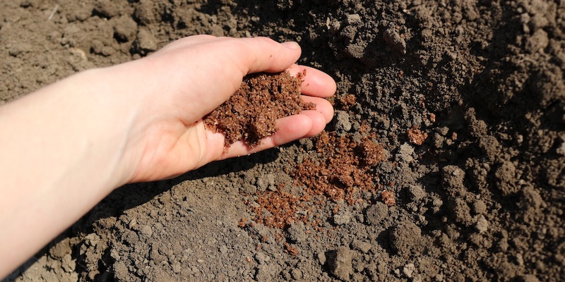 best-soil-for-growing
