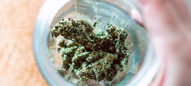 Top tips on how to dry and cure your cannabis buds￼