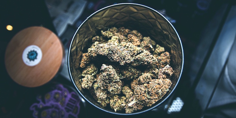 Top tips on how to dry and cure your cannabis buds￼