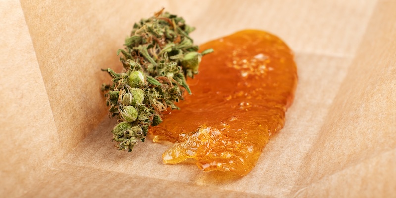 Weed Shatter: Everything You Need to Know About the Golden Cannabis Concentrate
